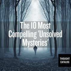 Robert Stack, Unsolved Mystery, Unexplained Mysteries, Mystery Stories, Scary Stuff, Mystery Of History, Thought Catalog, Creepy Stuff, The Paranormal