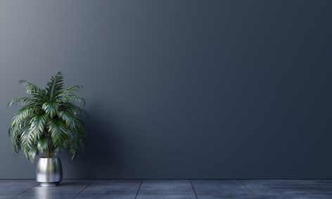 Dark background empty room with plants o... | Premium Photo #Freepik #photo Dark Zoom Backgrounds, Office Background Wallpaper, Office Wall Background, Virtual Background Zoom Room, Office Room Background, Room Wall Background, Modern White Living Room, Home Decor Craft Ideas, House Background