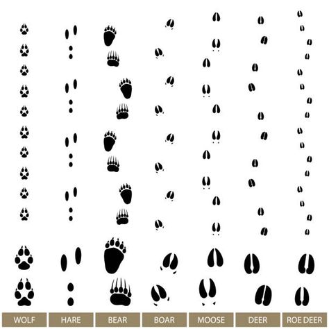 Pig Hooves, Hoof Print, Painted Post, Animal Tracks, Fairytale Illustration, Silhouette Free, Free Vector Graphics, Forest Animals, Free Vector Art