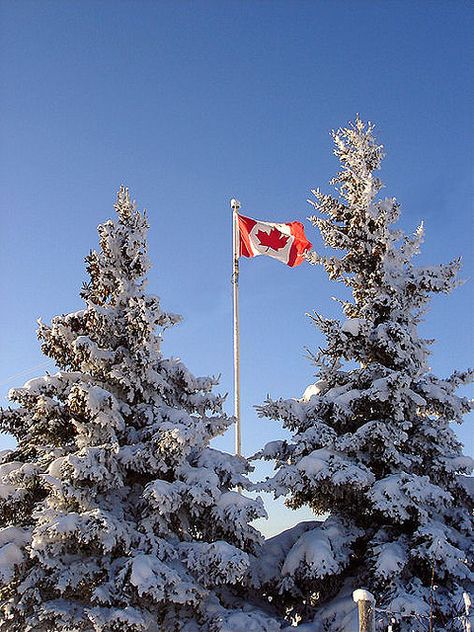 Christmas In Canada Aesthetic, Live In Canada Aesthetic, Living In Canada Aesthetic, Canada Astethic, Canada Photo Ideas, Travel Aesthetic Canada, Canada Aesthetic Winter, Canada Vision Board, Toronto Canada Aesthetic