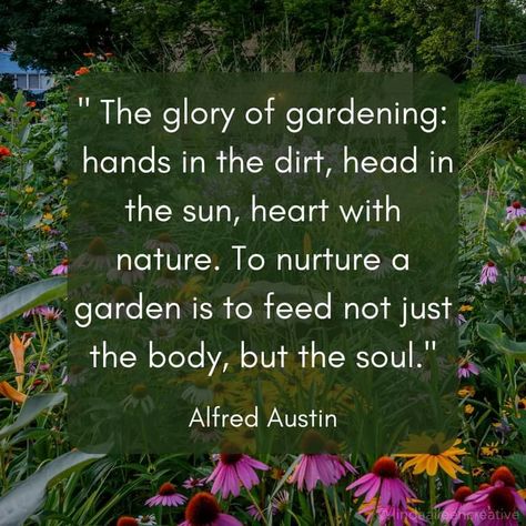 Plants Quotes, Therapy Quotes, Flowers Gardening, Garden Quotes, Nature Plants, Plants Flowers, Nature Quotes, The Glory, Garden Gates