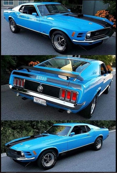 1970 Ford Mustang Mach 1 1970 Mach 1, 1970 Mustang, Rodney Smith, Ford Mustang Classic, Funny Car Drag Racing, Mustang Classic, Muscle Cars Mustang, Cars Mustang, 1970 Ford Mustang