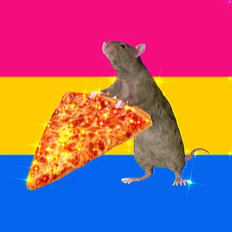 Pansexual Background, Pan Pfp, Pansexual Pfp, Pan Flag, Funny Flags, Pan Pride, Duck Wallpaper, Pansexual Flag, Lgbt Memes