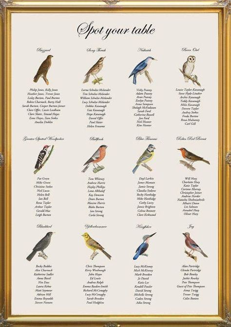 Wedding Ideas Funny, Seating Chart Wedding Ideas, Card Table Sign, Bird Themed Wedding, Table Wedding Decorations, Nature Hunt, Forest Weddings, Wedding Birds, Bird Table