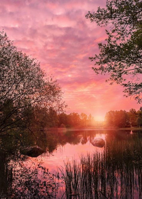 ~~Last Light | pink violet sunset, Berlin, Germany | by Q Sawalha~~ Pink Hour Aesthetic, Sunset Astethic, Sunset Pink Color, Light Pink Sky Aesthetic, Pink Sunsets Aesthetic, Pink Sunset Background, Pink Scenery, Pink Sunset Aesthetic, Aesthetic Pink Sunset