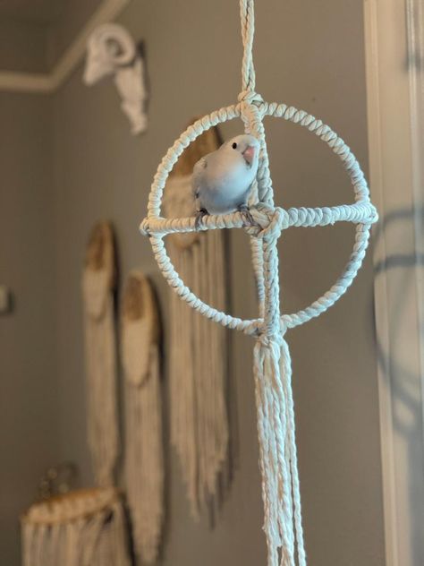 Macrame Bird Toys, Parrot Accessories, Macrame Bird, Bird Enrichment, Bird Play Gym, Diy Parrot Toys, Bird Room, Birds Cute, Diy Bird Toys