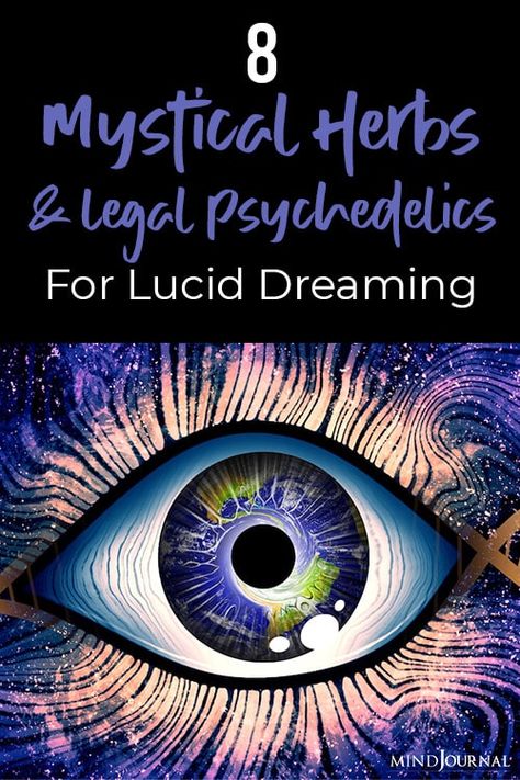 8 Mystical Herbs And Legal Psychedelics For Lucid Dreaming Lucid Dreaming Techniques, Psychoactive Plants, Dream Herbs, Lucid Dreams, Vivid Dreams, Psychic Development, Astral Projection, Quotes By Genres, Brain Waves