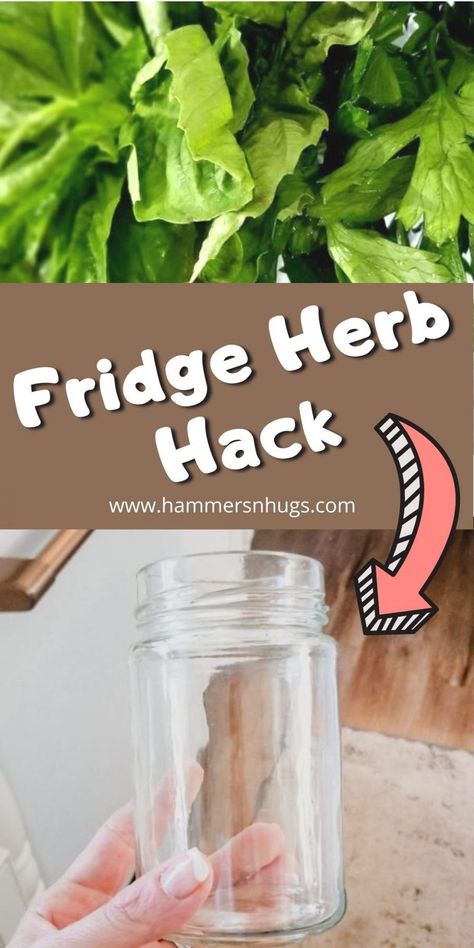 Keep Herbs Fresh In Fridge, Storing Herbs In Fridge, Store Herbs In Fridge, How To Store Fresh Herbs In The Fridge, How To Store Herbs In Fridge, How To Store Fresh Herbs, Decorating Laundry Room, Store Fresh Herbs, Wake Up Earlier