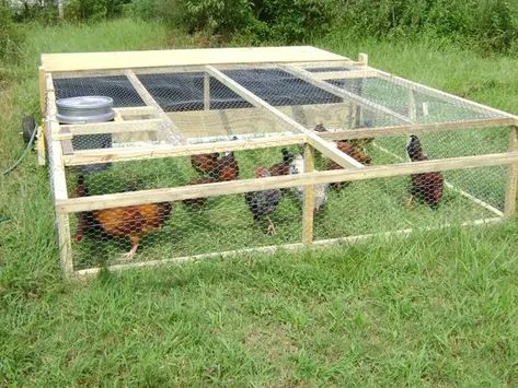 Chicken Coop Plans Free, Chicken Fence, Mobile Chicken Coop, Small Chicken Coops, Meat Birds, Portable Chicken Coop, Backyard Chicken Coop Plans, Chicken Tractors, Chicken Tractor