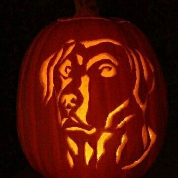 pumpkin carving ideas [ pumpkin carving ideas, pumpkin carving, Lab Pumpkin Carving, Pumpkin Cravings, Pumkin Carving, Pumpkin Carving Party, Amazing Pumpkin Carving, Dog Pumpkin, Pumpkin Contest, Pumpkin Carving Designs, Pumpkin Carving Ideas