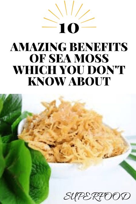 Sea moss benefits and how to use to improve your health - Missmv.com Sea Moss Benefits, Sea Moss Gummies, Benefits Of Sea Moss, Seamoss Benefits, Irish Moss, Irish Sea, Healthy Joints, Sea Moss, Natural Health Remedies