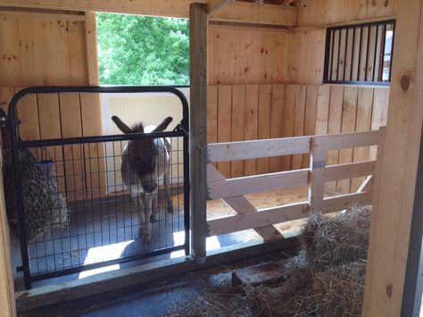 Mini Horse Stall Ideas, Donkey Stall Ideas, Diy Mini Horse Stalls, Donkey Shelter Ideas, Mini Cow Stall, Mini Horse Stall, Diy Mini Horse Shelter, Horse Stalls Cheap, Mini Cow Barn