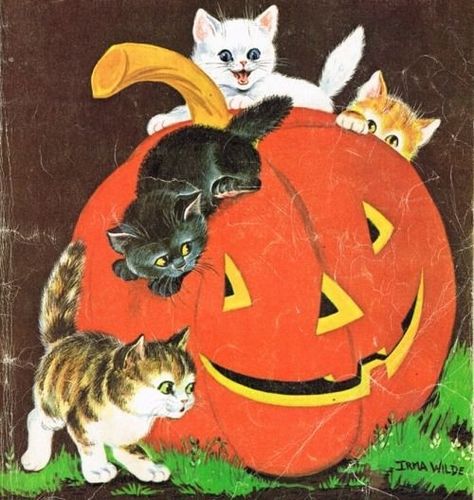 Vintage Halloween Cards, Vintage Halloween Art, Vintage Halloween Images, Halloween Time, Halloween Scene, Halloween Illustration, Halloween Inspo, Halloween Images, Vintage Fall