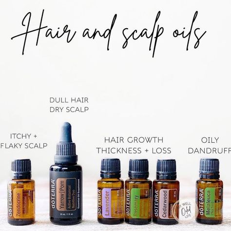 Oils For Dry Scalp, Doterra Hair, Dry Flaky Scalp, Clean Beauty Blender, Rosemary Hair Growth, Doterra Lavender, Essential Oils Collection, Flaky Scalp, Essential Oil Mixes