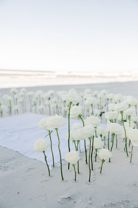 Beach Proposal Setup Simple, Simple Beach Proposal Ideas, Beach Proposal Setup, Beach Proposal Ideas, Cute Proposal Ideas, Simple Beach Wedding, Proposal Pictures, Beach Proposal, Dream Beach