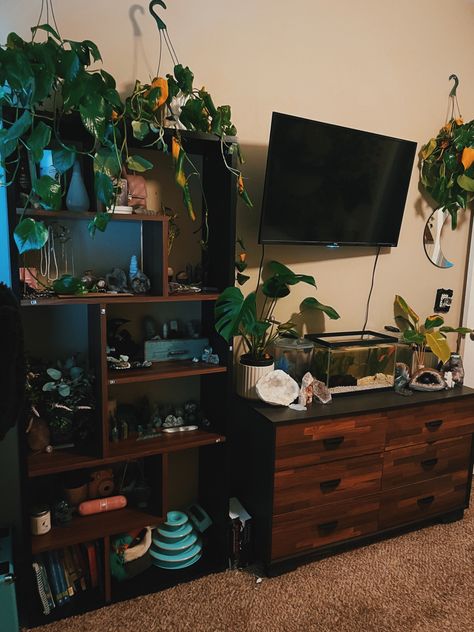 Plants | crystals | fish | fish tanks | earthy | cottage core | bedroom | room| inspo | inspiration | idea | bedroom idea | Earthy Dresser, Boho Fish Tank Decor, Fish Tank On Dresser, Fish Tank In Room Aesthetic, Crystal Fish Tank, Aquarium And Plant Room, Cottage Core Office, Eclectic Fish Tank, Cottagecore Fish Tank