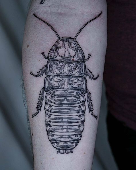 Hissing Cockroach Tattoo, Weevil Tattoo, Katy Wiedemann, Roach Tattoo, Cockroach Tattoo, Dahlia Tattoos, Hissing Cockroach, Madagascar Hissing Cockroach, Dark Tattoo Ideas