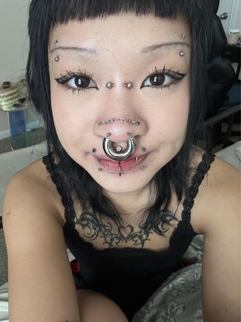 0g Septum, Septum Piercing Aesthetic, Dream Piercings, Irl References, Stretched Septum, Bat Ears, Piercing Inspo, Septum Nose Rings, Piercings For Girls