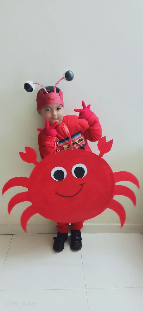 Crab Fancy Dress, Diy Crab Costume, Crab Costume Diy, Red Day Activity, Animal Costumes Diy, Crab Costume, Animal Costumes For Kids, Lobster Costume, Crab Crafts