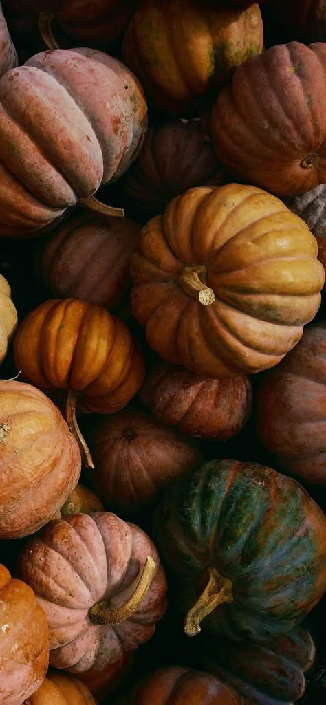 Daily Wallpaper, Pumpkin Background, Fall Backgrounds Iphone, Pumpkin Wallpaper, Fall Mood Board, Fall Background, Fall Feels, Fall Halloween Decor, Autumn Vibes