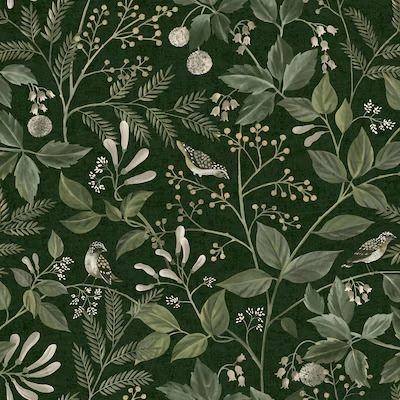 Vintage Dark Green Wallpaper, Hobby Lobby Peel And Stick Wallpaper, Botanical Green Wallpaper, Dark Green Floral Background, Green Wallpaper In Bathroom, Green Foliage Wallpaper, Wallpaper Green Bedroom, Chris Loves Julia Wallpaper, Dark Green Bathroom Wallpaper