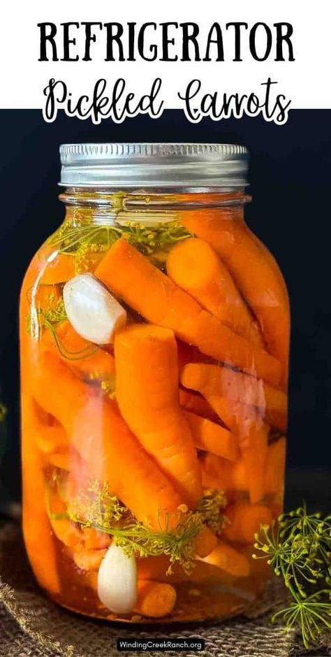 Make a flavorful batch of Quick Pickled Carrots with fresh dill and garlic. This easy recipe is perfect for beginners and delivers crunchy, tangy pickles in just 20 minutes! Great for snacking, salads, or charcuterie boards. Sweet Pickled Carrots Recipe, Quick Pickled Carrots, Pickled Beans, Fridge Pickles, Pickled Carrots Recipe, Tartiflette Recipe, Spicy Carrots, Best Pickles, Spiced Carrots