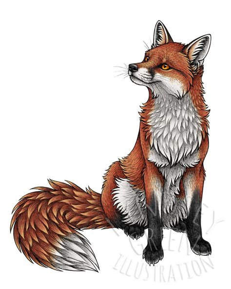 by Lyndsey Green Fox Art Drawing, Fox Head Drawing, Fox Drawing Cute, Fox Art Illustration, Red Fox Drawing, Foxes Drawing, Fox Drawing Tutorial, Fox Illustration Drawing, Fox Drawing Sketches