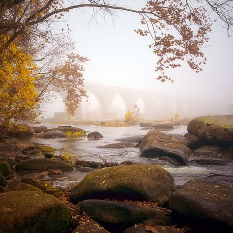 Autumn on the James River, Richmond, VA Hudson River Aesthetic, Richmond Virginia Photography, November Rain, Photoshoot Locations, James River, River City, Texas Girl, Emerald Lake, Magic Forest