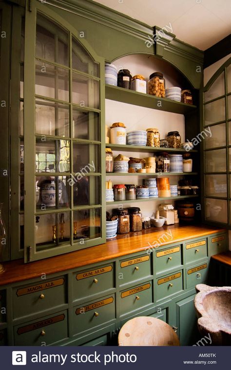 Download this stock image: Pasteur & Galt Apothecary Shop, Colonial Williamsburg - AM50TK from Alamy's library of millions of high resolution stock photos, illustrations and vectors. Apothecary Design, Apothecary Shop, Apothecary Decor, Green Cabinets, Renovation Design, Colonial Williamsburg, Pantry Design, Kitchen Pantry, Home Improvement Projects