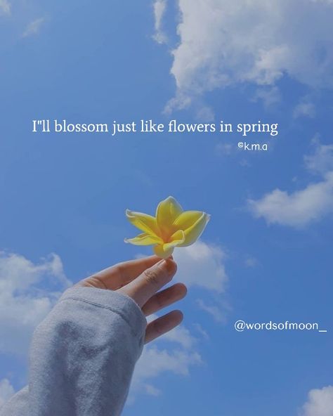 Flower Blossom Quotes, Blossom Quotes Inspiration, Quote Captions, Blossom Quotes, Spring Quotes, Inspirational Quotes Wallpapers, Quotes Wallpapers, Good Day Quotes, Aesthetic Quotes