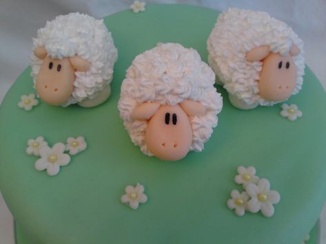 Herd Of Sheep For a New Zealand themed party. 8" chocolate cake w/ vanilla buttercream. Homemade Marshmallow Fondant. Sheep modeled...