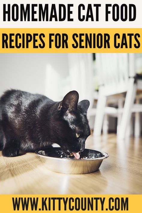 Home Cooked Cat Food, Cat Food Recipe, Cat Food Recipes, Food For Kidney Health, Senior Cats, Diy Cat Food, Senior Cat Food, Healthy Cat Food, Raw Cat Food Recipes