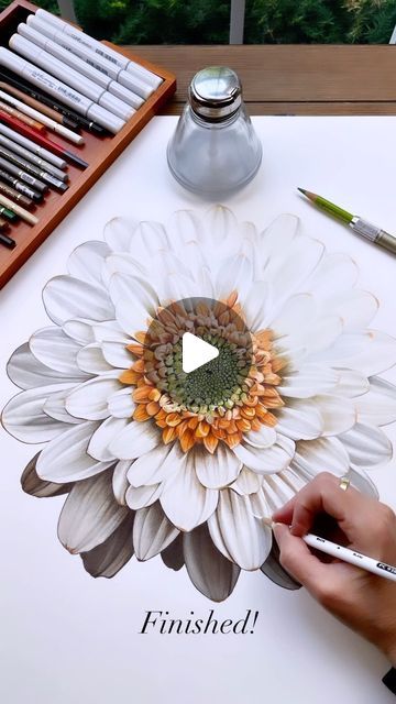 Jennifer Morrison on Instagram: "Drawing an Ivory and Orange Flower using Colored Pencils and Copic Markers.  I made this reel accidentally when I was trying to post to my story and decided to go with it.  Might as well make things easy on myself for once!! Here’s to not overthinking it!
.
.
#coloredpencil #drawing #flowers #botanicalart" Alcohol Marker Flowers, Alcohol Marker Drawings Flowers, How To Color People With Markers, Alcohol Markers Flowers, Not Overthinking, Copic Marker Flowers, Using Colored Pencils, Instagram Drawing, Drawing Flowers