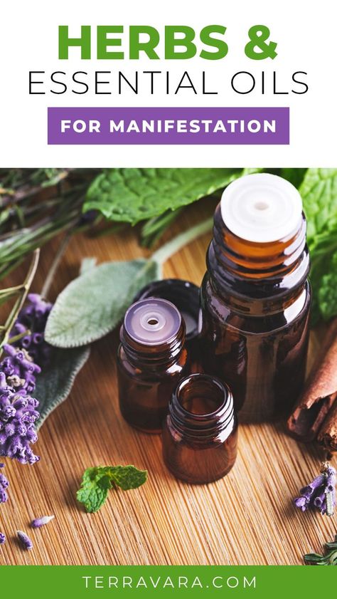 Herbs and essential oils for manifestation. Herbs For Manifesting, Herbs For Manifestation, Essential Oils Beginners Guide, Spiritual Oils, Magical Oils, Magick Oil, Jar Spells, Learning Languages Tips, Psychic Ability