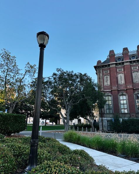 Berkley University, California 🇺🇸 👩🏻‍🎓 as a professor, it was interesting for me to visit one of the most prestigious universities of the world, walking around campus, libraries that are open for public, hallways and beautiful parks and gardens. Walking through the student town, I was amazed by the scale and beauty of this place 🌱 And yes, I’m as usual, proudly wearing my brand’s total look @elviense Do I look more like a student or more like a professor ? _____ Университет Беркли, Кал... Berkley University, Beautiful Parks, I Am Amazing, Beautiful Park, Total Look, A Student, Vision Board, University, Walking