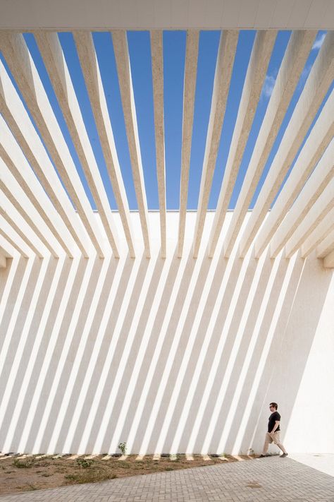 Shadow Architecture, Administrative Building, Roof Architecture, Deck With Pergola, Covered Pergola, Light Well, Glass Roof, Diy Pergola, University Campus