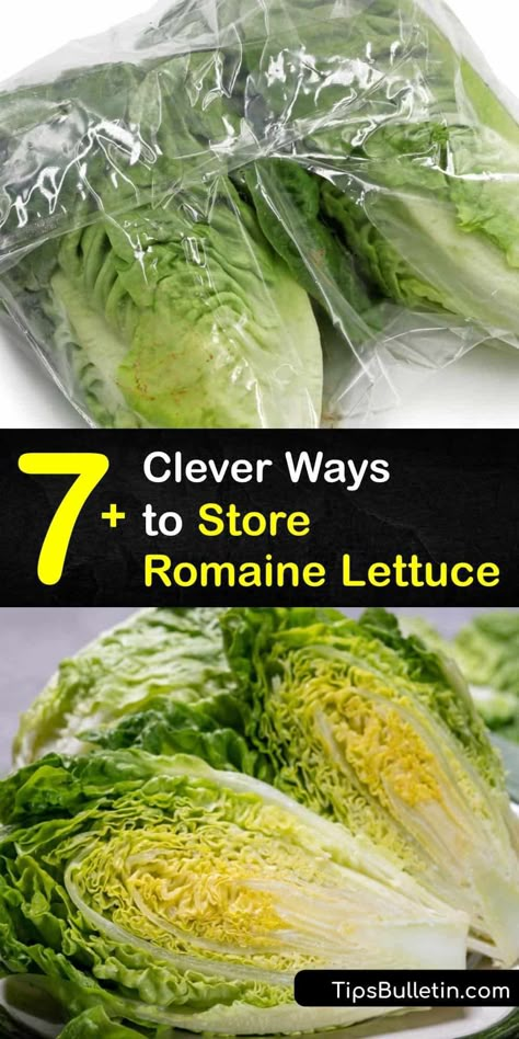 Keeping Romaine Lettuce Fresh, How To Crisp Lettuce, Artisan Lettuce Spears, Storing Romaine Lettuce In Fridge, How To Preserve Lettuce In The Fridge, How To Keep Romaine Lettuce Fresh Longer, How To Clean Romaine Lettuce, Best Way To Keep Lettuce Fresh, Lettuce Storage How To Store