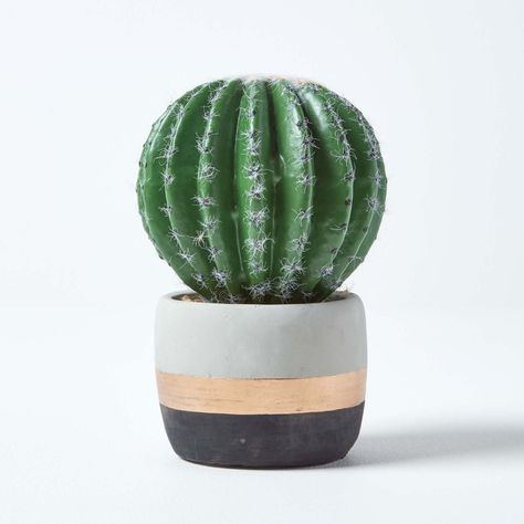 Add a natural look to your interiors with Homescapes’ faux Echinocactus Gusonii plant. Comes inside a decorative metallic cement planter. Round Artificial Cactus Ideal for bedrooms, living rooms and workspaces, Homescapes’ artificial Echinocactus Gusonii plant will add natural style. This round cactus is set inside an on-trend planter that features black, white and metallic made from cement. With white spikes for a realistic look, this cactus is ideal for desks, shelves or side tables. Large Fau White Spikes, Round Cactus, Place Aesthetic, Artificial Cactus, Faux Cactus, Plant Study, Indoor Cactus, Surat Thani, Artificial Potted Plants