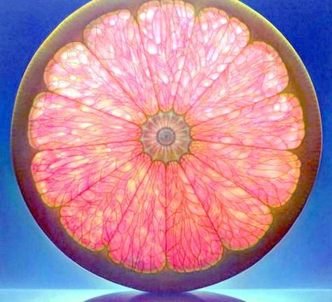 Dennis Wojtkiewicz Dennis Wojtkiewicz, Art Igcse, Sculpture Decor, Colossal Art, Fruit Slice, Fruit Painting, Realistic Paintings, Hyperrealism, Delicious Fruit