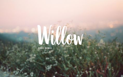 Willow | Baby Name | Character Name | Boho Name Willow Name Aesthetic, Willow Name Meaning, Willow Name, Nature Names, Unique Girl Names, Cool Baby Names, Baby Name List, Pretty Names