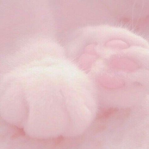 Kawaii Theme, Pastel Filter, Icon Theme, Cat Kawaii, Kitten Cat, Pastel Aesthetic, Soft Pastel, Filter, Pastel