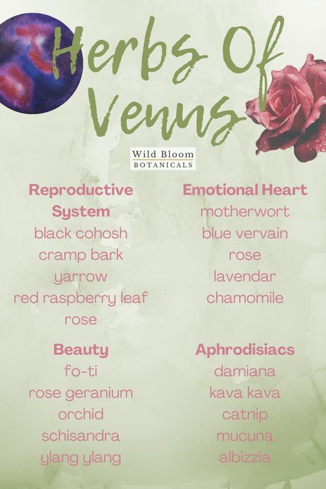 Herbs For Glamour Magic, Womb Herbs, Witchcraft Correspondences, Plant Correspondences, Zodiac Herbs, Affection Aesthetic, Herbal Astrology, Calming Herbs, Love Herbs