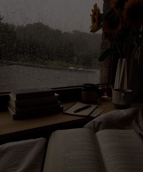 Ryleecore Aesthetic, Aesthetic Pictures Dark Academia, Dark Academia Rain, Dark Academy Aesthetic, Dark Academia Wallpaper, Rainy Day Aesthetic, Dark Academy, Aesthetic Dark Academia, Dark Paradise