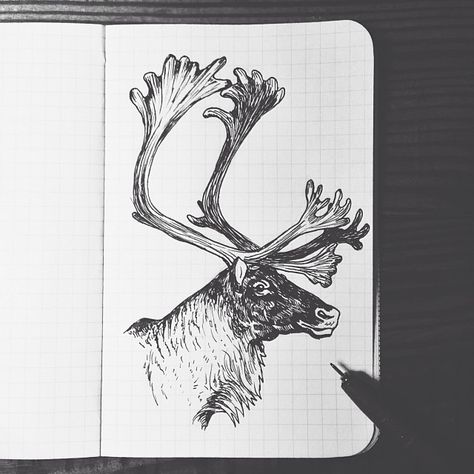 steelbison:  First attempt at a caribou. #FieldNotes #art #caribou Elk Sketch, Elk Drawing, Elk Tattoo, Pyrography Designs, Deer Drawing, Deer Illustration, Animal Artwork, Glass Engraving, Deer Art