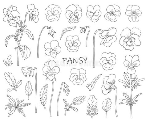 Flowers of pansies. Elements for creating illustrations. Sketch style , #Aff, #Elements, #pansies, #Flowers, #creating, #style #ad Pansy Drawing Pencil, Pansy Flower Tattoo Capricorn, Panseys Flower Drawing, Tiny Pansy Tattoo, Pansy Flower Tattoos, Pansy Line Art, Pansy Line Drawing, Pansy Doodle, How To Draw A Pansy