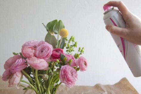 Cómo secar flores con laca para el cabello Perserving Flowers, Preserve Flowers, Diy Collage, Preserved Roses, How To Preserve Flowers, Flowers Diy, Cut Flowers, Fun To Be One, Pressed Flowers