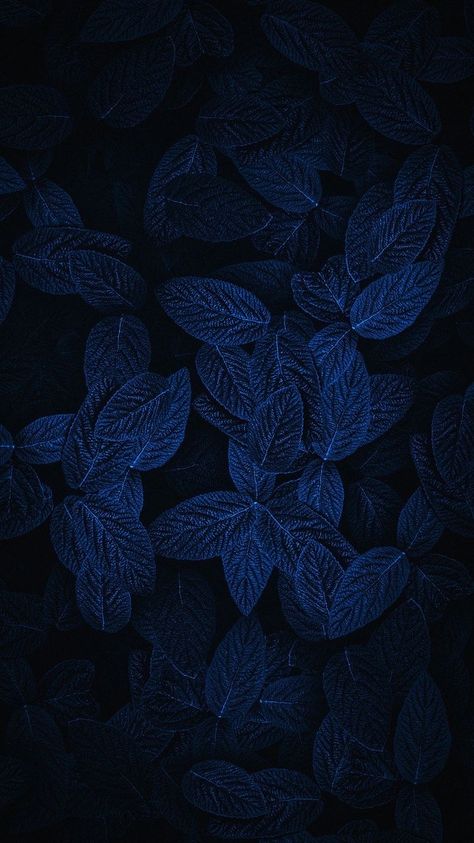 Leaves Wallpaper Iphone, Amoled Wallpaper, Wallpapers Ideas, Game Wallpaper Iphone, Iphone Wallpaper Lights, Oneplus Wallpapers, Qhd Wallpaper, Amoled Wallpapers, Full Hd 4k