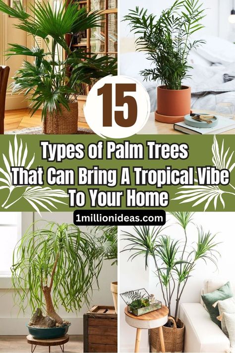 15 Types of Palm Trees That Can Bring A Tropical Vibe To Your Home Palm Tree Plants Indoor, Tropical House Plants Indoor, Palm Tree Indoor Plant, Types Of Palm Trees, Types Of Palm Plants, How To Care For Palm Plants Indoors, Palm Plant Indoor, Tropical Plants Indoor, Palm Varieties