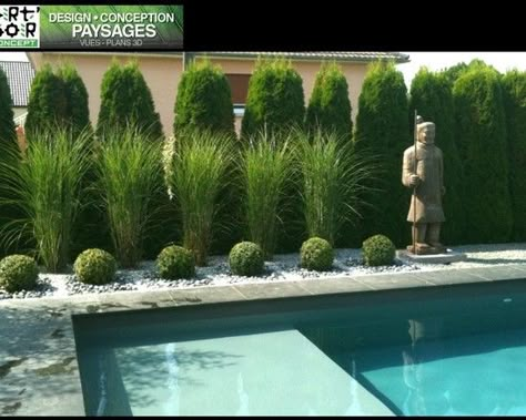 Tall Grass Around Pool, Pool Landscaping Ideas Inground Privacy, Zen Pool Landscaping, Pampas Grass In Landscaping, Landscaping Next To Pool, Boxwood Around Pool, Behind The Pool Landscaping, Bushes Around Pool, Midwest Pool Landscaping