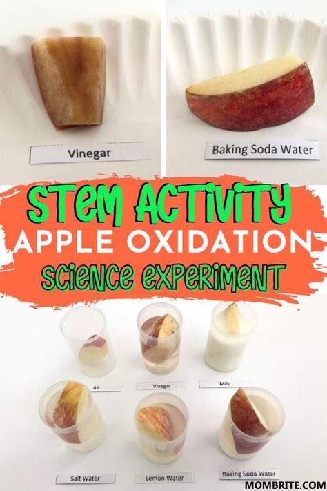 How does Apple react to various solutions? A great educational kids science experiment perfect for preschoolers and toddlers, this Apple Oxidation experiment is also perfectly fall-themed! #KidsScienceExperiment #PreschoolerSTEMActivities #FallLearningActivities Oxidation Numbers, Food Science Experiments, Easy Science Fair Projects, Science Projects For Preschoolers, Mommy Duties, Apple Week, Vegetable Crafts, Teacher Crafts, Big Panda